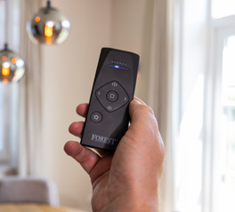 Handheld remote
